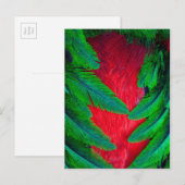 Carte Postale Conception de plume de Quetzal resplendissant (Devant / Derrière)