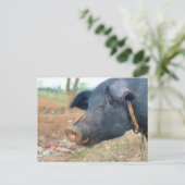 Carte Postale Conception de porcelaine de ferme (Debout devant)