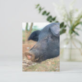 Carte Postale Conception de porcelaine de ferme (Debout devant)