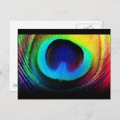 Carte Postale Conception des plumes de paon (Devant / Derrière)