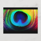 Carte Postale Conception des plumes de paon (Devant)