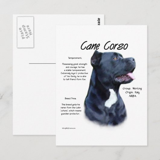 Carte Postale Conception d'histoire de Corso de canne (Devant / Derrière)