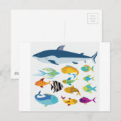 Carte Postale conception du poisson (Devant / Derrière)