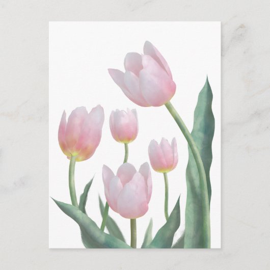 Carte Postale Conception florale de tulipes pastel (Devant)
