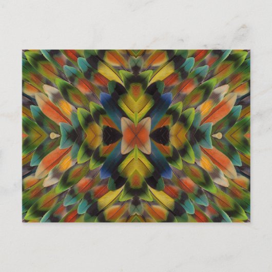 Carte Postale Conception fractale des plumes de l'inséparable (Devant)