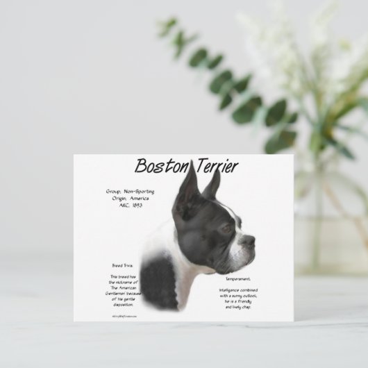 Carte Postale Conception historique de Boston Terrier (Debout devant)