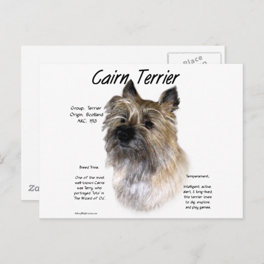 Carte Postale Conception historique de Cairn Terrier (Devant / Derrière)