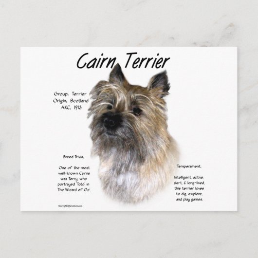 Carte Postale Conception historique de Cairn Terrier (Devant)