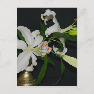 Carte Postale Conception Irlandaise - Collection Laiton et Fleur