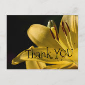 Carte Postale Conception '*LiLi-Jaune' , (Devant)