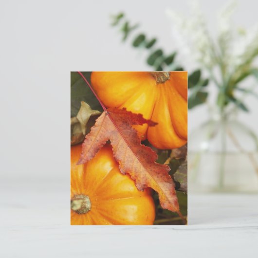 Carte Postale Conception novembre (Debout devant)