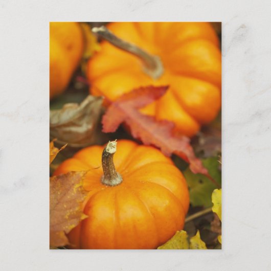 Carte Postale Conception octobre (Devant)