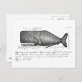 Carte Postale Conception vintage de baleines (Devant / Derrière)