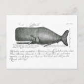 Carte Postale Conception vintage de baleines (Devant)