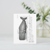 Carte Postale Conception vintage de baleines (Debout devant)