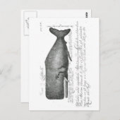 Carte Postale Conception vintage de baleines (Devant / Derrière)