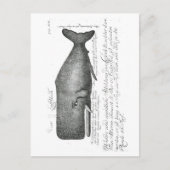 Carte Postale Conception vintage de baleines (Devant)