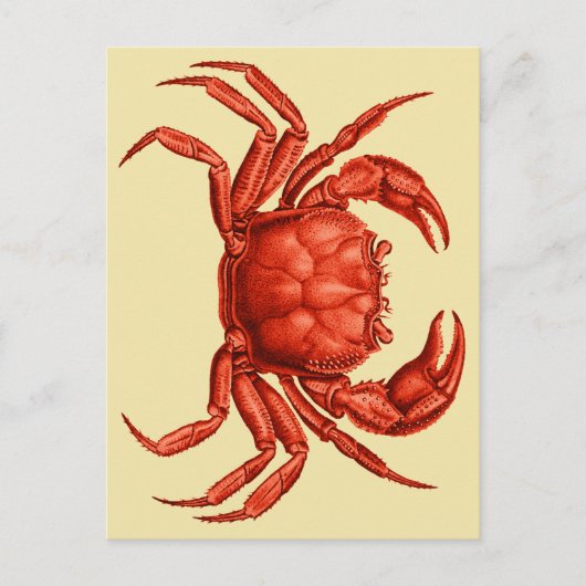 Carte Postale Conception vintage du crabe (Devant)