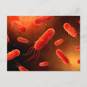 Carte Postale Conceptual Image Of Flagellate Bacterium 1