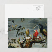 Carte Postale Concert d'oiseaux (Devant / Derrière)