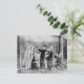 Carte Postale Concert Pour Ours Polaires, 1925 (Debout devant)