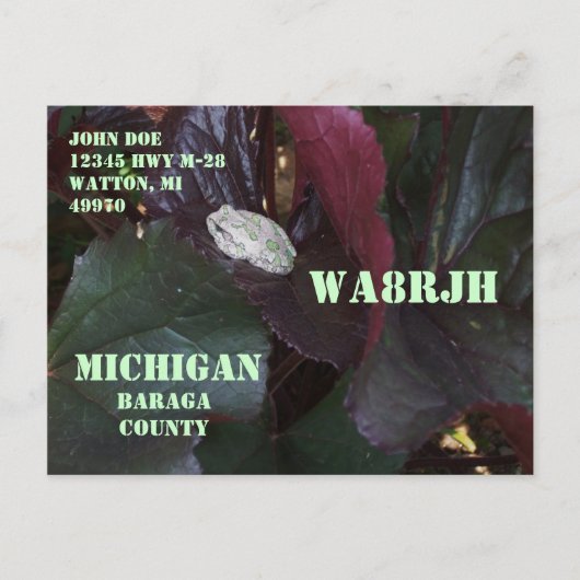 Carte Postale Concevez votre propre faune op d'opérateur radio (Devant)