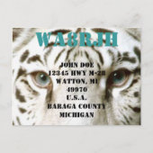 Carte Postale Concevez votre propre QSL HAM Radio Ops Card Tiger (Devant)