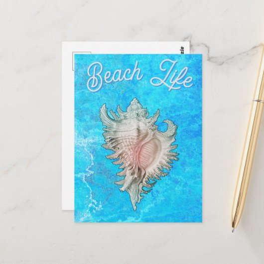 Carte Postale Conch Shell "Beach Life" (Devant/Arrière en situation)