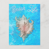 Carte Postale Conch Shell "Beach Life" (Devant)