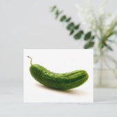 Carte Postale Concombre (Debout devant)
