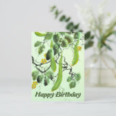 Carte Postale Concombre chinois (Debout devant)