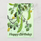 Carte Postale Concombre chinois (Devant)