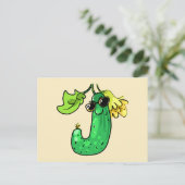 Carte Postale Concombre cucumber (Debout devant)