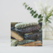 Carte Postale Concombre de mer ... Nourriture du marché du Yaowa (Debout devant)