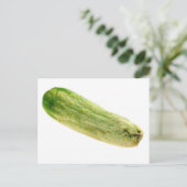 Carte Postale Concombre séché (Debout devant)