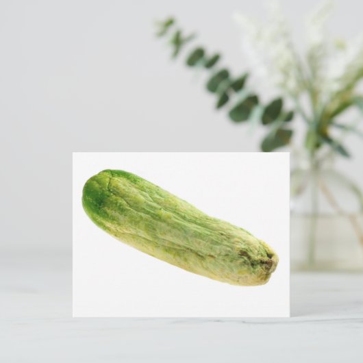 Carte Postale Concombre séché (Debout devant)