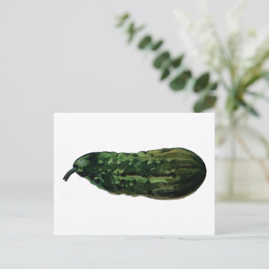 Carte Postale concombre vintage (Debout devant)