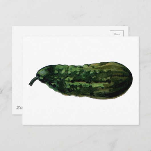 Carte Postale concombre vintage (Devant / Derrière)