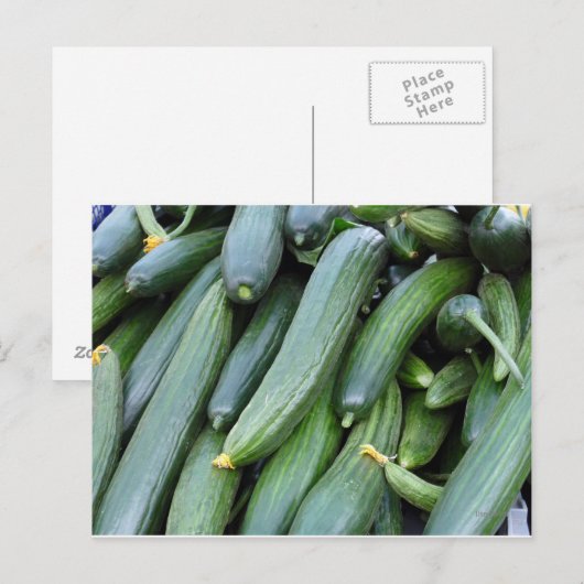 Carte Postale Concombres verts (Devant / Derrière)