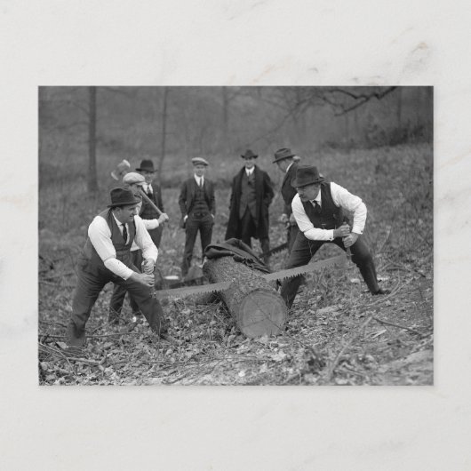 Carte Postale Concours de sciage de bois, 1924 (Devant)