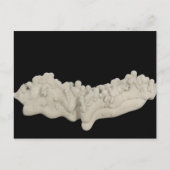 Carte Postale Concrétion d'argile (Devant)