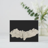 Carte Postale Concrétion d'argile (Debout devant)