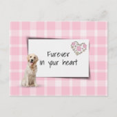 Carte Postale Condoléances pour la perte d'un Golden Retriever (Devant)