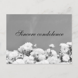 Carte Postale Condoléances sincères