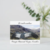 Carte postale Cóndor Andino (Debout devant)