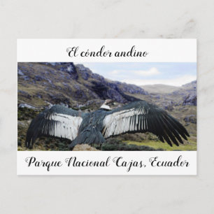 Carte postale Cóndor Andino