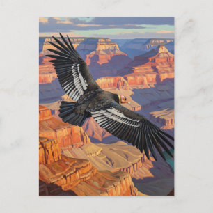 Carte Postale Condor dans le parc national du Grand Canyon