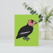 Carte Postale Condor de Californie (Debout devant)