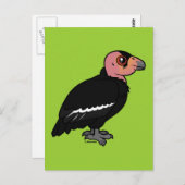 Carte Postale Condor de Californie (Devant / Derrière)