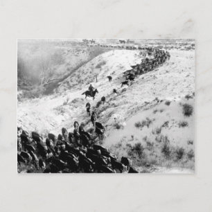 Carte Postale Conduire du bétail en hiver.